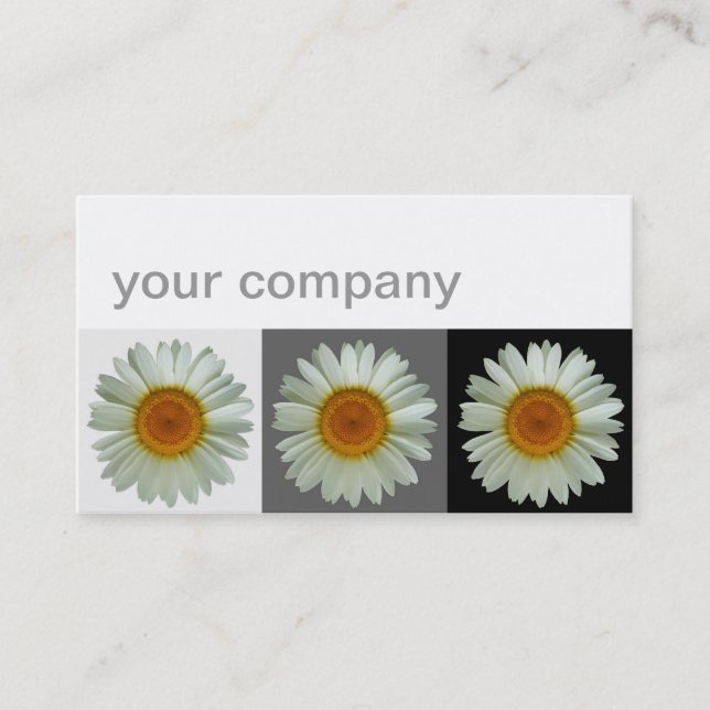 Three White Daisies Modern Floral Business Card (Front)