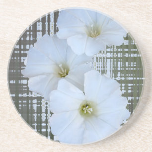 three white flowers coaster
