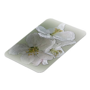 three white flowers magnet
