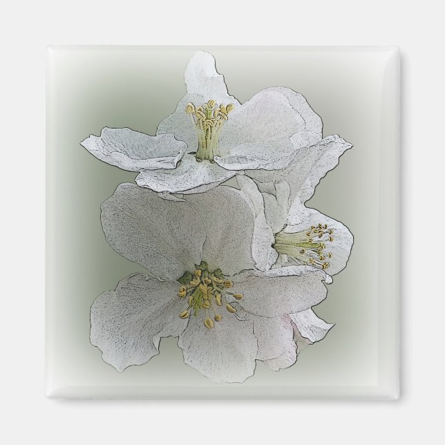 three white flowers magnet (Front)