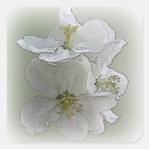 three white flowers square sticker