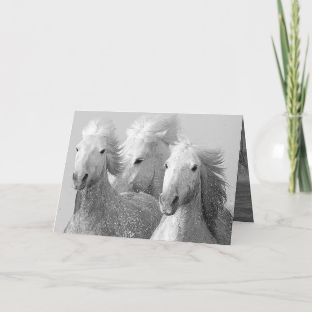 Three White Horses Greeting Card (Front)