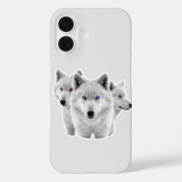 Three White Wolves