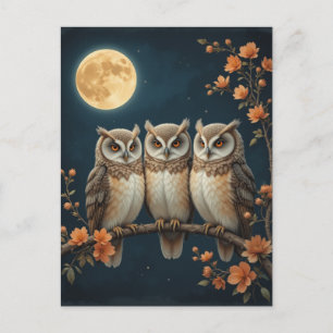 Three Wise Owls on a Branch Under the Full Moon Postcard