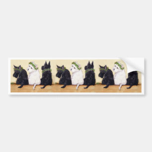 Three Wise Terriers Bumper Sticker