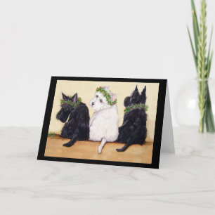 Three Wise Terriers Holiday Card
