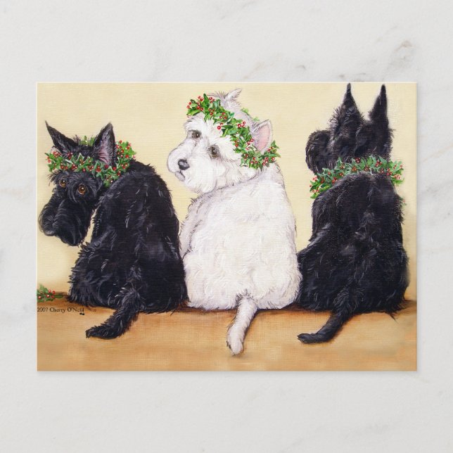 Three Wise Terriers Postcard (Front)