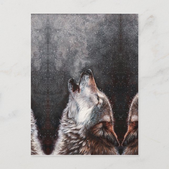 Three Wolves Howling Postcard (Front)