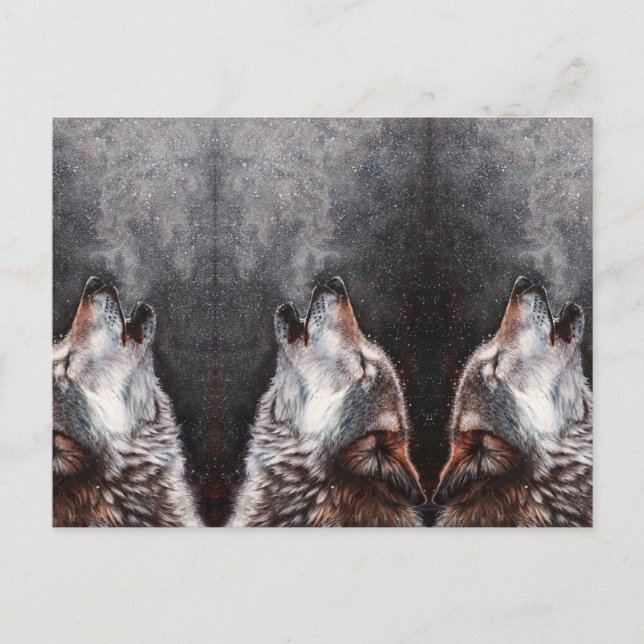 Three Wolves Howling Postcard (Front)