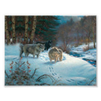 three wolves in the Winter Forest