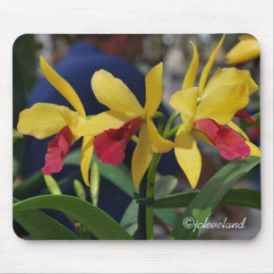 Three Yellow and Red Orchids Mouse Mat