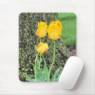 Three Yellow Tulips / Mouse Mat
