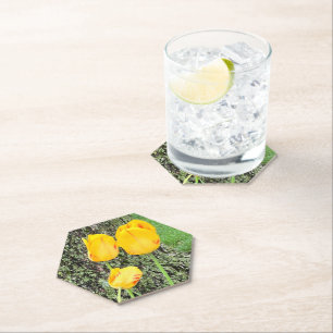 Three Yellow Tulips / Paper Coaster