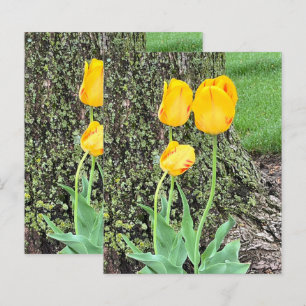 Three Yellow Tulips / Scrapbook Paper