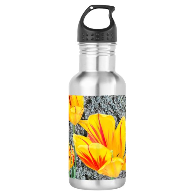 Three Yellow Tulips Sequel / 710 Ml Water Bottle (Front)