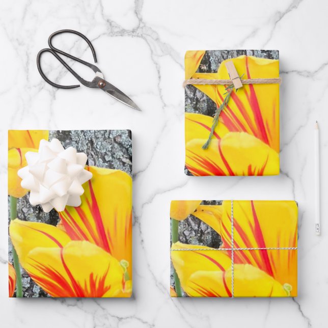 Three Yellow Tulips Sequel /  Wrapping Paper Sheet (Front)