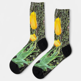 Three Yellow Tulips / Socks