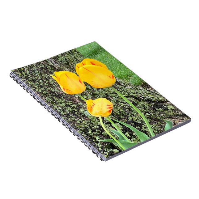Three Yellow Tulips / Spiral Notebook (Right Side)