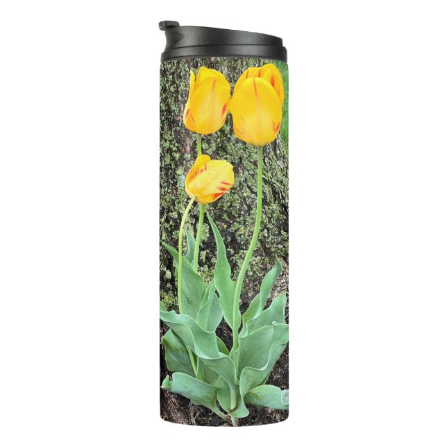 Three Yellow Tulips / Thermal Tumbler (Rotated Right)
