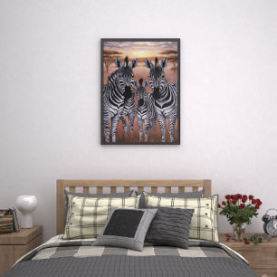 Three Zebras Grazing in Meadow Poster