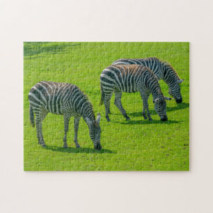 Three Zebras Jigsaw Puzzle