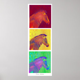 three zebras poster