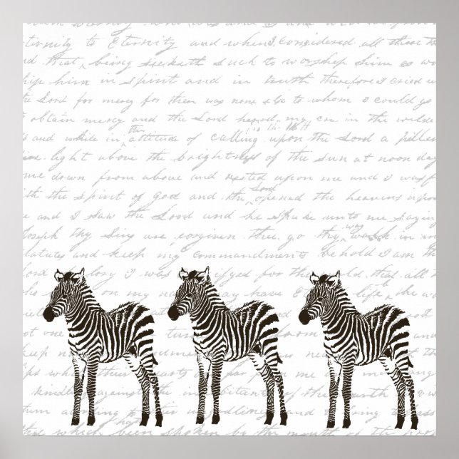 Three Zebras Poster (Front)