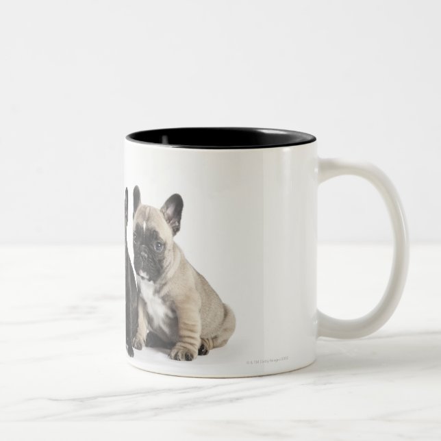 Threee Pedigree Puppies Two-Tone Coffee Mug (Right)