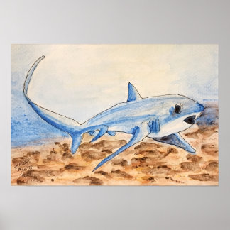 Thresher Shark Poster