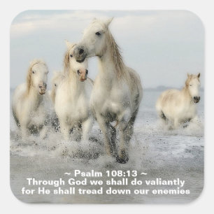 Through God we shall do Valiantly Psalm 108:13 Square Sticker