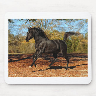 Through the Autumn leaves Mouse Mat