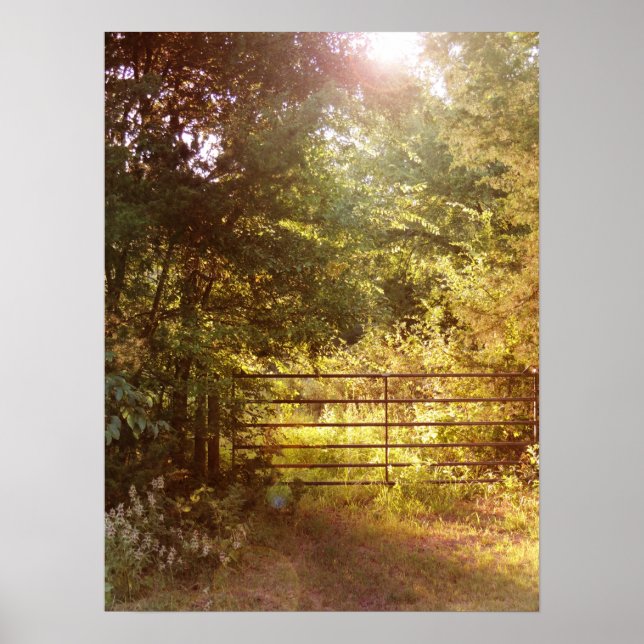 Through the Country Gate Poster (Front)