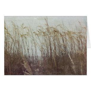 Through the Dunes II