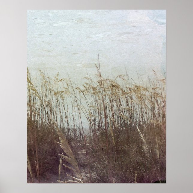 Through the Dunes II Poster (Front)