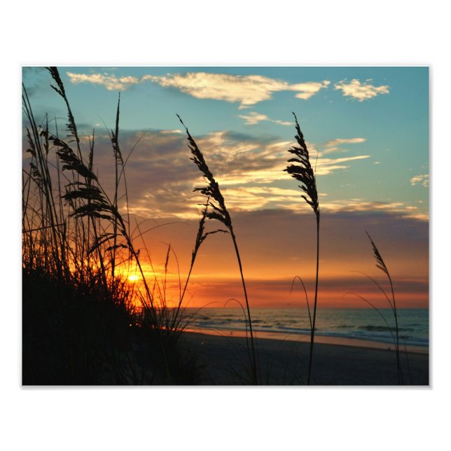 Through the Dunes Photo Print (Front)
