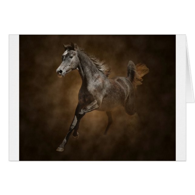 Through the dust (Front Horizontal)