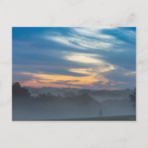 Through The Fog Postcard