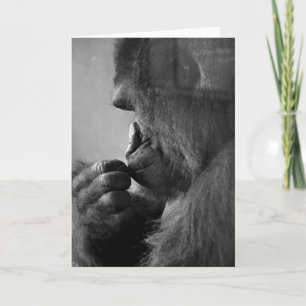 Through The Glass Deep In Thought Photo Blank Card