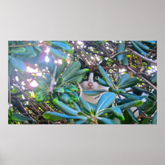 Through The Leaves Poster