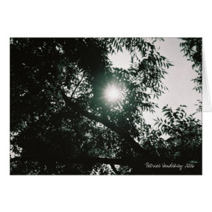 Through The Looking Glass