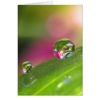 Through The Looking Glass Card