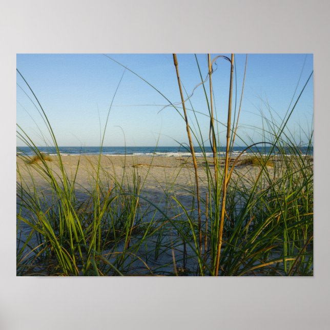 Through The Sea Oats Poster (Front)