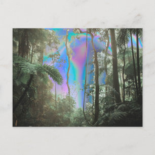 Through the Trees Postcard