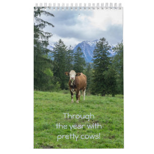 Through the year with pretty cows! calendar