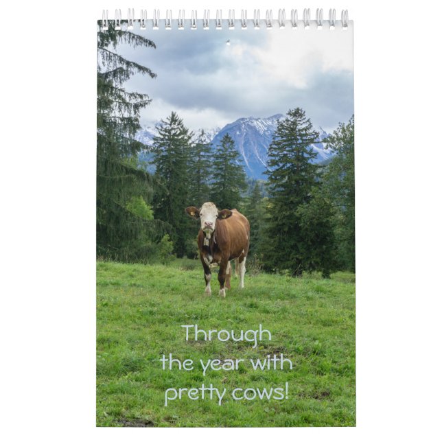 Through the year with pretty cows!  calendar (Cover)