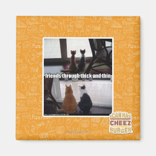 Through thick and thin magnet