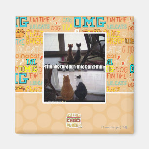 Through thick and thin magnet