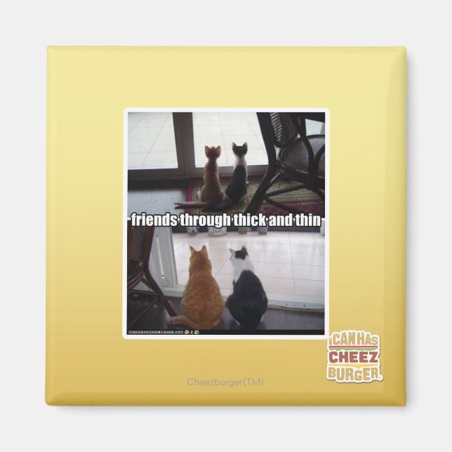 Through thick and thin magnet (Front)