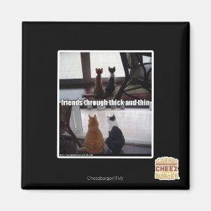 Through thick and thin magnet