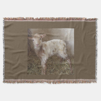 Throw Blanket